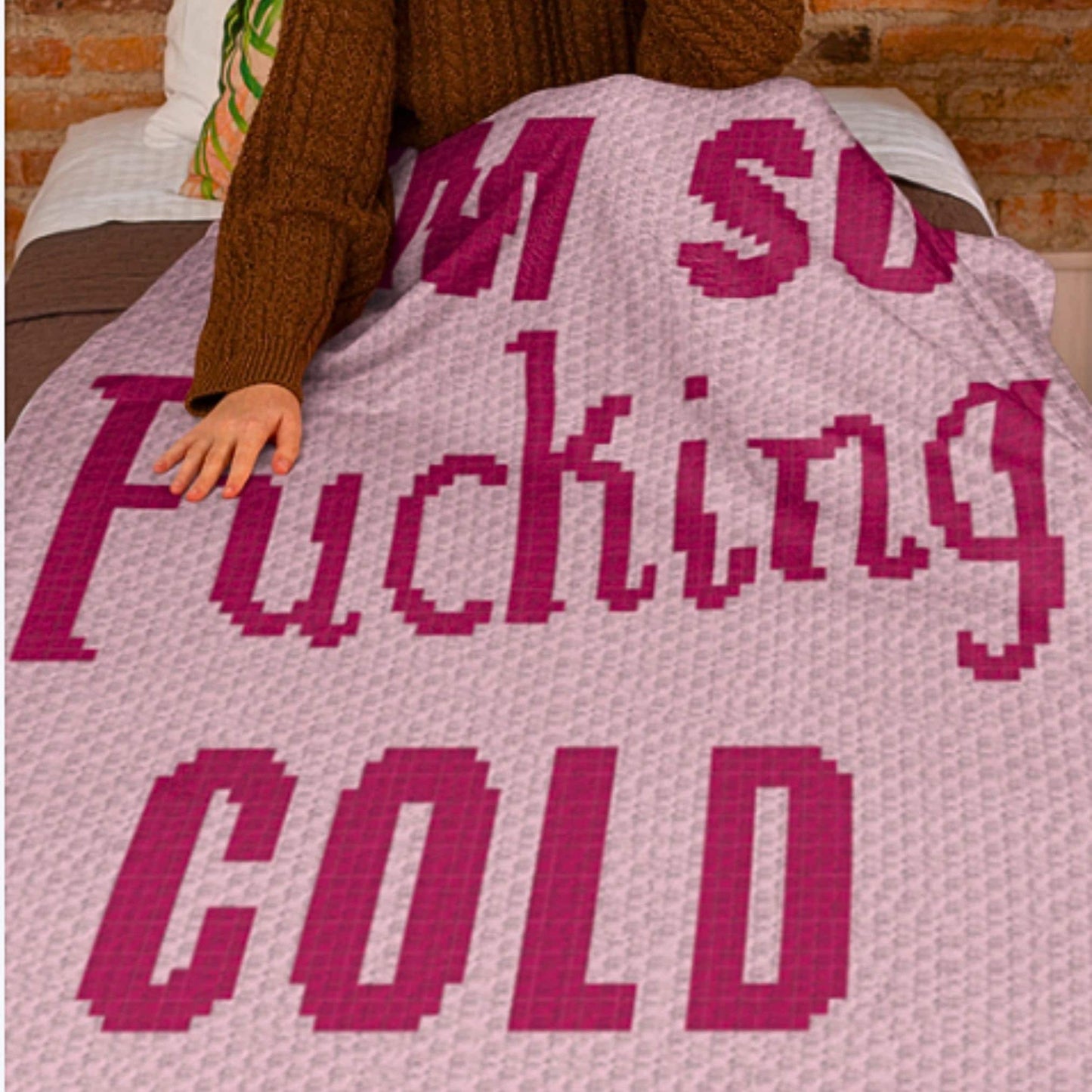 I'm So Fucking Cold Graph and Pattern C2C & Tapestry Crochet - Quote Graphgans - Swear Word Crochet Blanket - Personalized Gifts C2C Message